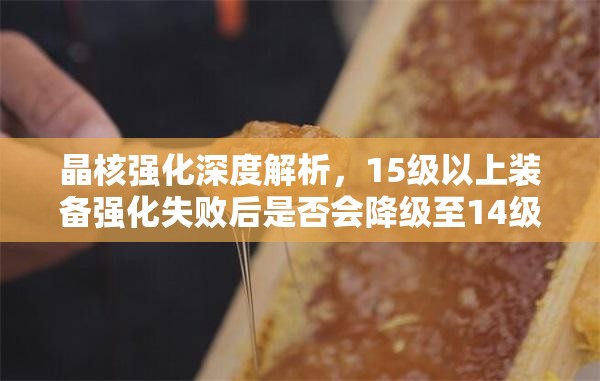 晶核強(qiáng)化深度解析，15級(jí)以上裝備強(qiáng)化失敗后是否會(huì)降級(jí)至14級(jí)真相揭秘