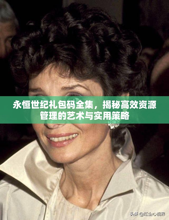 永恒世紀(jì)禮包碼全集，揭秘高效資源管理的藝術(shù)與實(shí)用策略