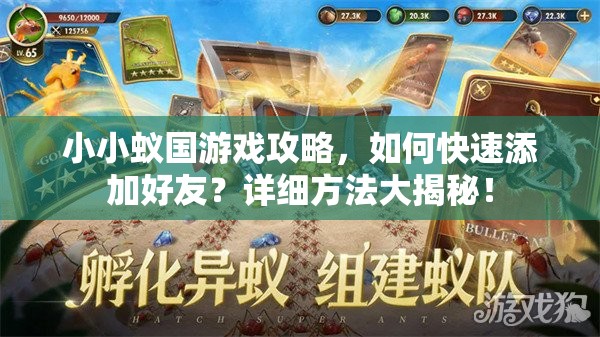 小小蟻國(guó)游戲攻略，如何快速添加好友？詳細(xì)方法大揭秘！
