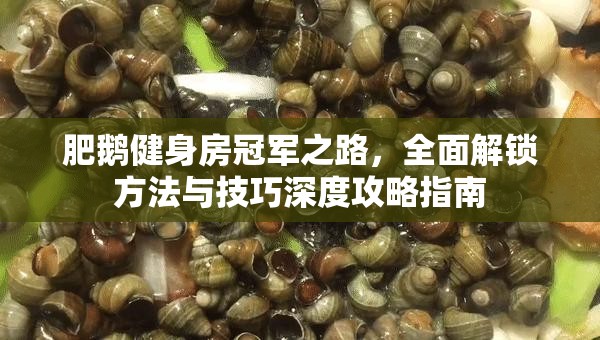 肥鵝健身房冠軍之路，全面解鎖方法與技巧深度攻略指南