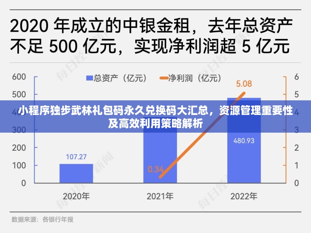 小程序獨步武林禮包碼永久兌換碼大匯總，資源管理重要性及高效利用策略解析