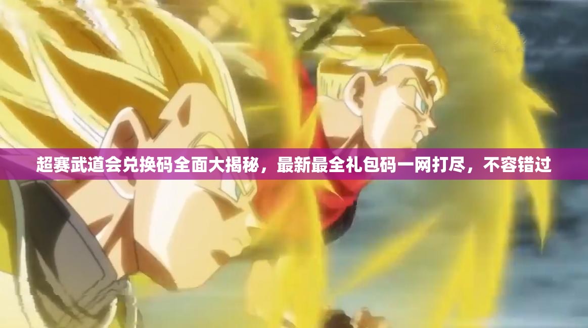 超賽武道會兌換碼全面大揭秘，最新最全禮包碼一網(wǎng)打盡，不容錯過