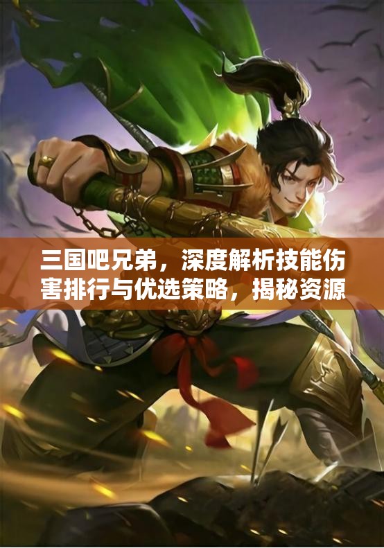 三國吧兄弟，深度解析技能傷害排行與優(yōu)選策略，揭秘資源管理的高效藝術(shù)