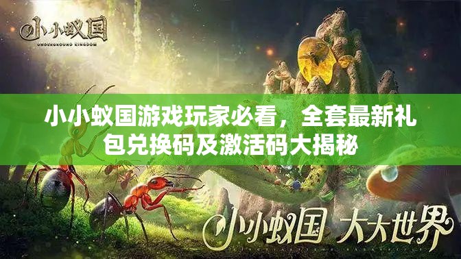 小小蟻國游戲玩家必看，全套最新禮包兌換碼及激活碼大揭秘