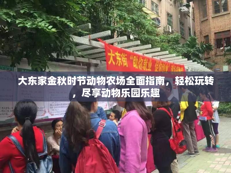 大東家金秋時節(jié)動物農(nóng)場全面指南，輕松玩轉(zhuǎn)，盡享動物樂園樂趣