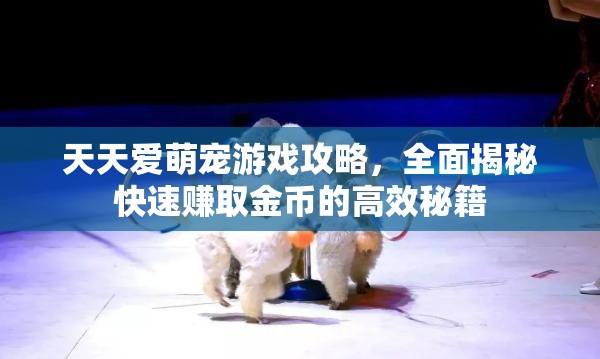 天天愛萌寵游戲攻略，全面揭秘快速賺取金幣的高效秘籍