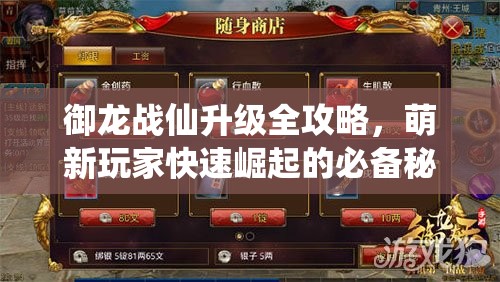 御龍戰(zhàn)仙升級(jí)全攻略，萌新玩家快速崛起的必備秘籍與技巧