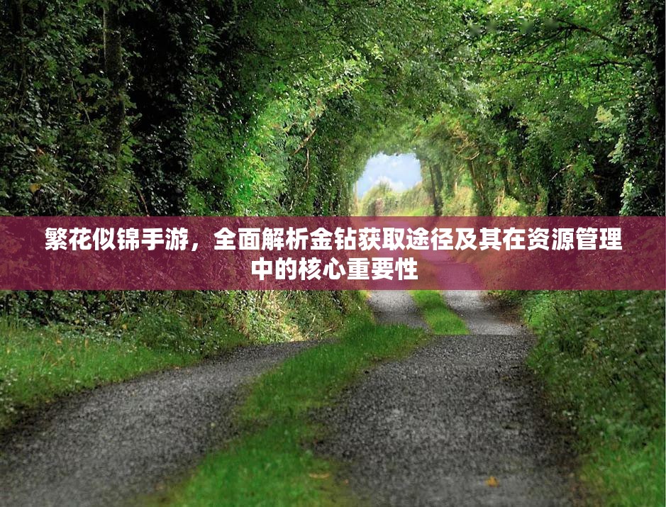 繁花似錦手游，全面解析金鉆獲取途徑及其在資源管理中的核心重要性