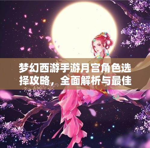 夢幻西游手游月宮角色選擇攻略，全面解析與最佳角色推薦大揭秘