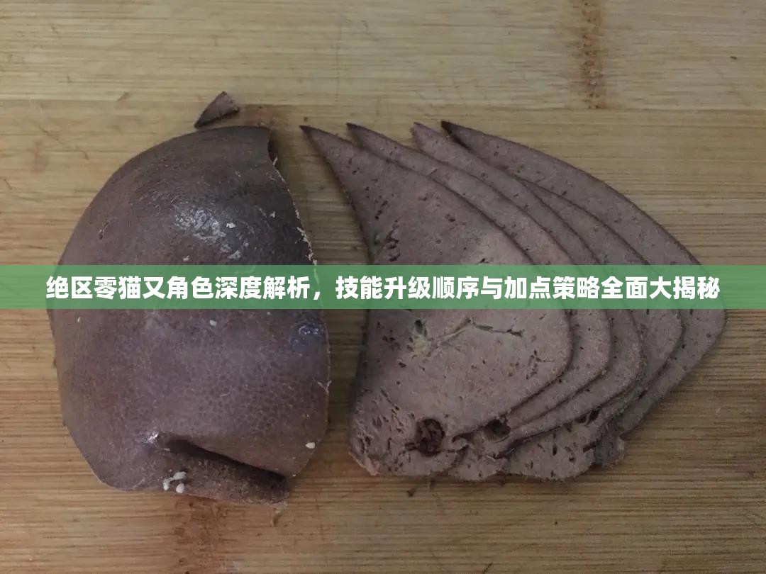 絕區(qū)零貓又角色深度解析，技能升級順序與加點策略全面大揭秘