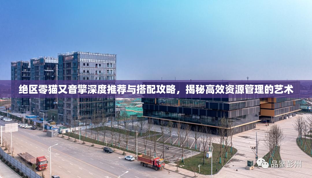 絕區(qū)零貓又音擎深度推薦與搭配攻略，揭秘高效資源管理的藝術(shù)