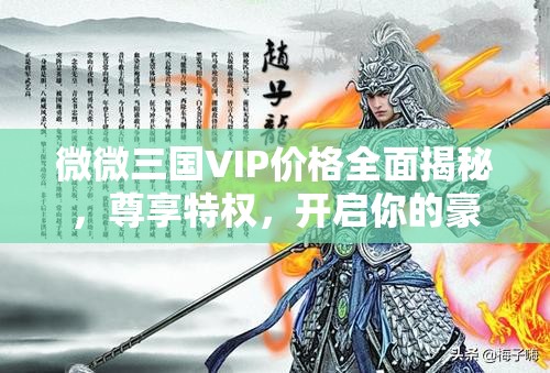 微微三國VIP價格全面揭秘，尊享特權(quán)，開啟你的豪華三國游戲之旅