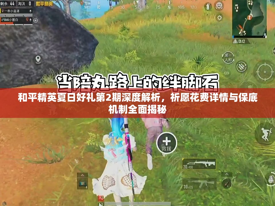 和平精英夏日好禮第2期深度解析，祈愿花費(fèi)詳情與保底機(jī)制全面揭秘