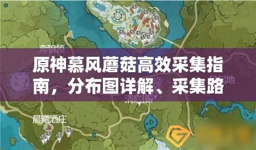 原神慕風(fēng)蘑菇高效采集指南，分布圖詳解、采集路線規(guī)劃及商人位置一網(wǎng)打盡