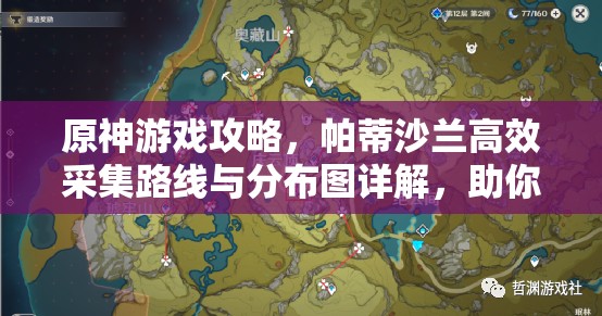 原神游戲攻略，帕蒂沙蘭高效采集路線(xiàn)與分布圖詳解，助你優(yōu)化資源管理策略