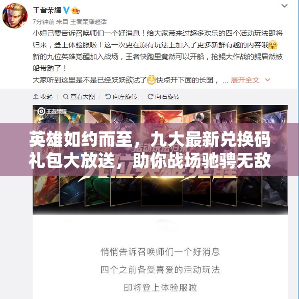英雄如約而至，九大最新兌換碼禮包大放送，助你戰(zhàn)場馳騁無敵手！