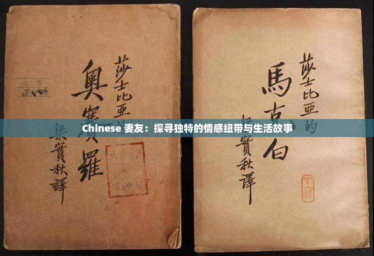 Chinese 妻友：探尋獨特的情感紐帶與生活故事