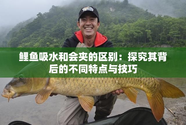 鯉魚吸水和會(huì)夾的區(qū)別：探究其背后的不同特點(diǎn)與技巧