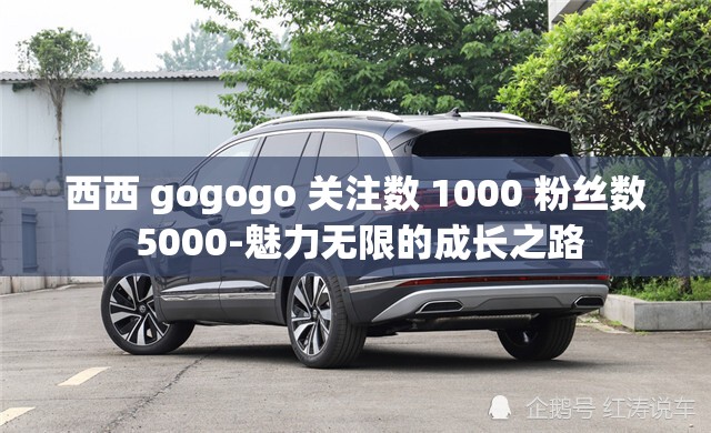 西西 gogogo 關注數 1000 粉絲數 5000-魅力無限的成長之路