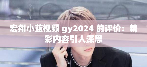 宏翔小藍視頻 gy2024 的評價：精彩內容引人深思
