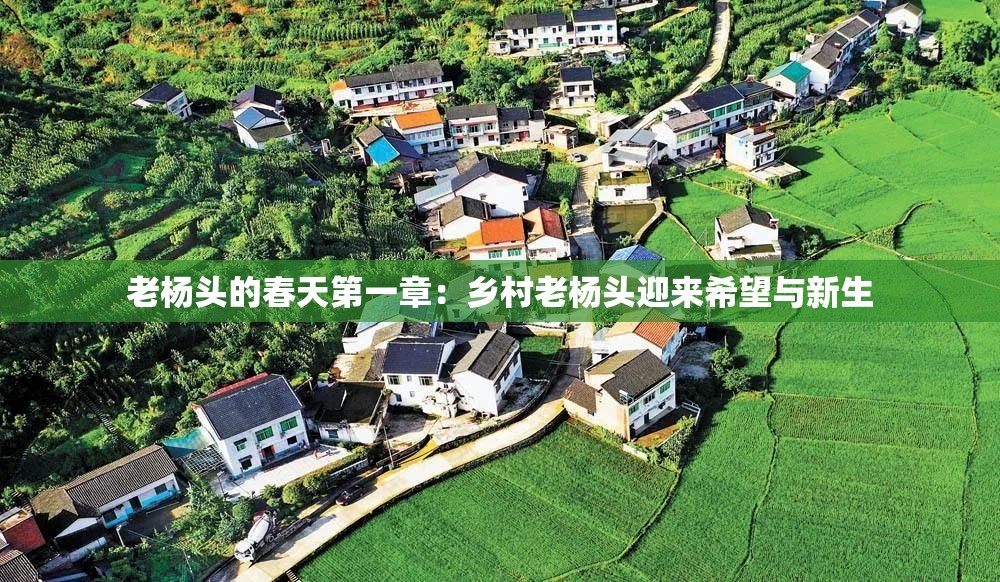 老楊頭的春天第一章：鄉(xiāng)村老楊頭迎來(lái)希望與新生