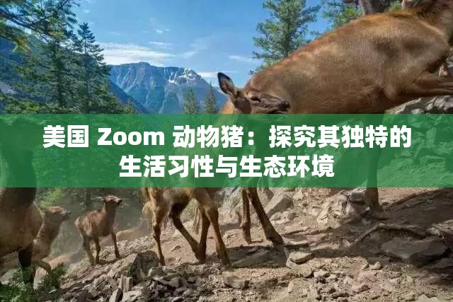 美國 Zoom 動(dòng)物豬：探究其獨(dú)特的生活習(xí)性與生態(tài)環(huán)境