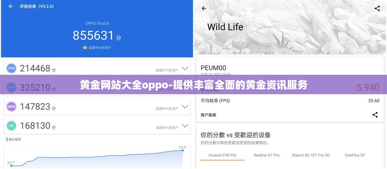 黃金網(wǎng)站大全oppo-提供豐富全面的黃金資訊服務(wù)