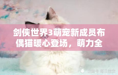 劍俠世界3萌寵新成員布偶貓暖心登場，萌力全開陪伴玩家闖蕩江湖