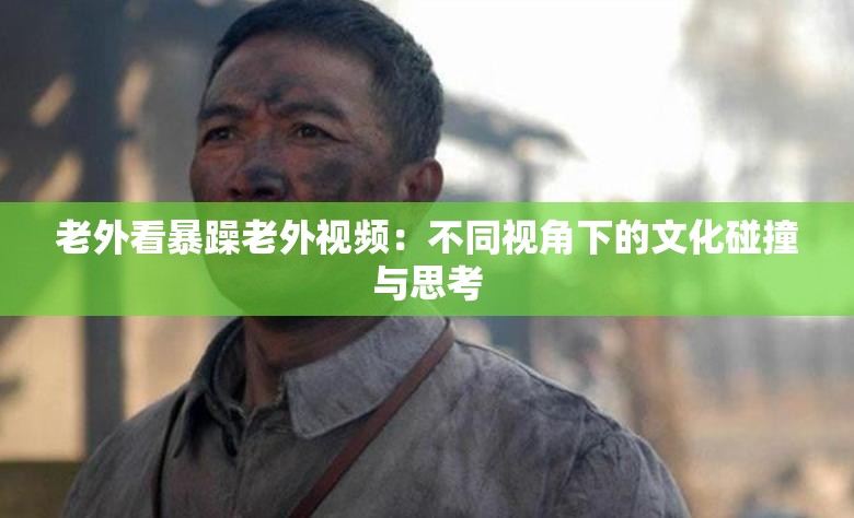 老外看暴躁老外視頻：不同視角下的文化碰撞與思考