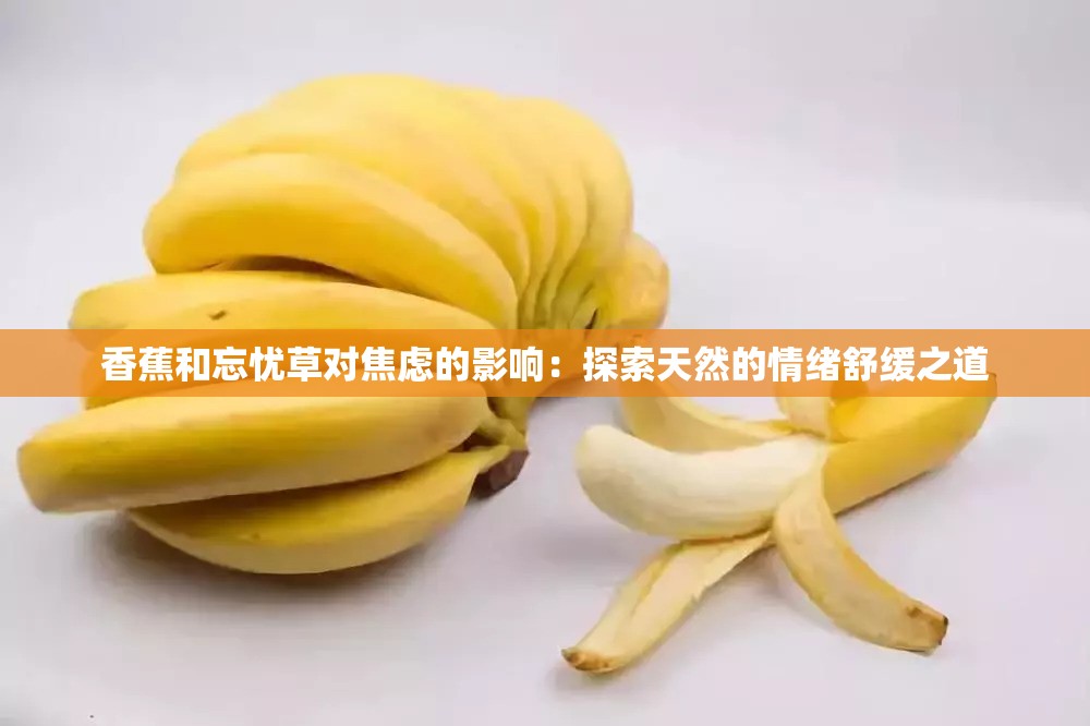 香蕉和忘憂草對焦慮的影響：探索天然的情緒舒緩之道