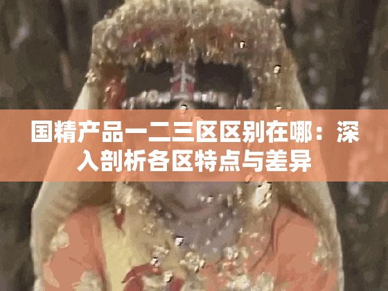 國(guó)精產(chǎn)品一二三區(qū)區(qū)別在哪：深入剖析各區(qū)特點(diǎn)與差異