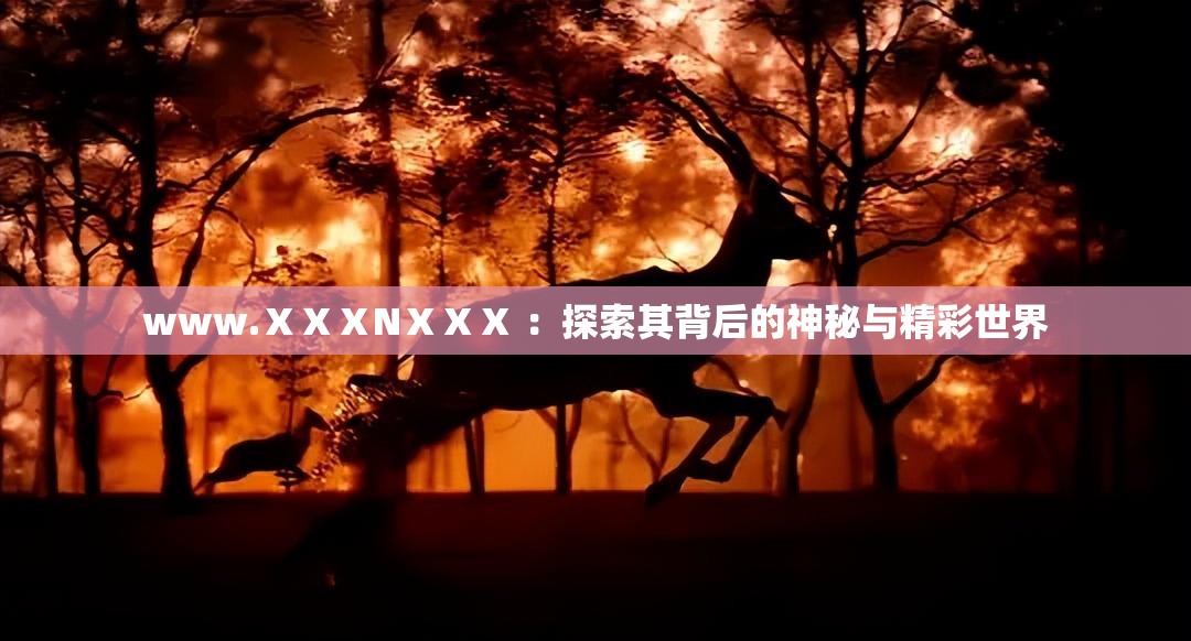 www.ⅩⅩⅩNⅩⅩⅩ ：探索其背后的神秘與精彩世界