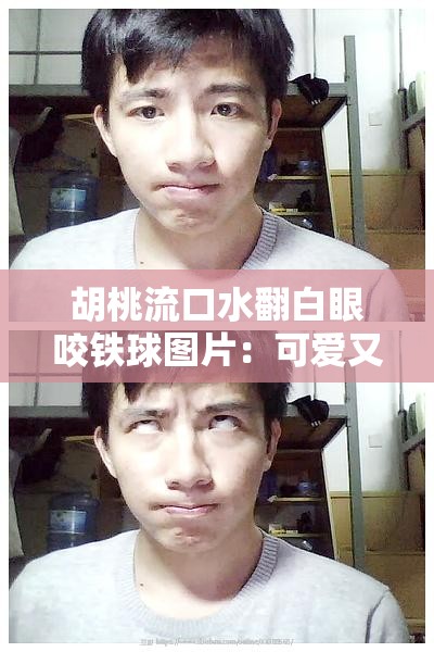 胡桃流口水翻白眼咬鐵球圖片：可愛又搞怪的獨特瞬間