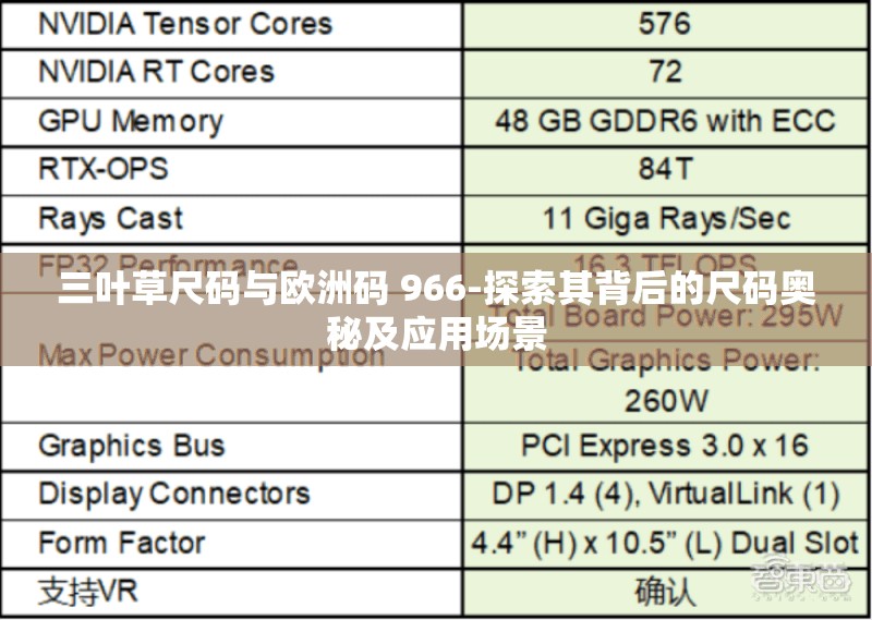 三葉草尺碼與歐洲碼 966-探索其背后的尺碼奧秘及應(yīng)用場景