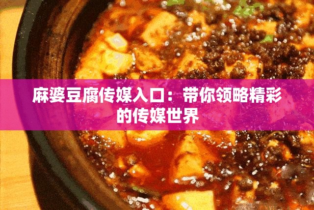 麻婆豆腐傳媒入口：帶你領(lǐng)略精彩的傳媒世界