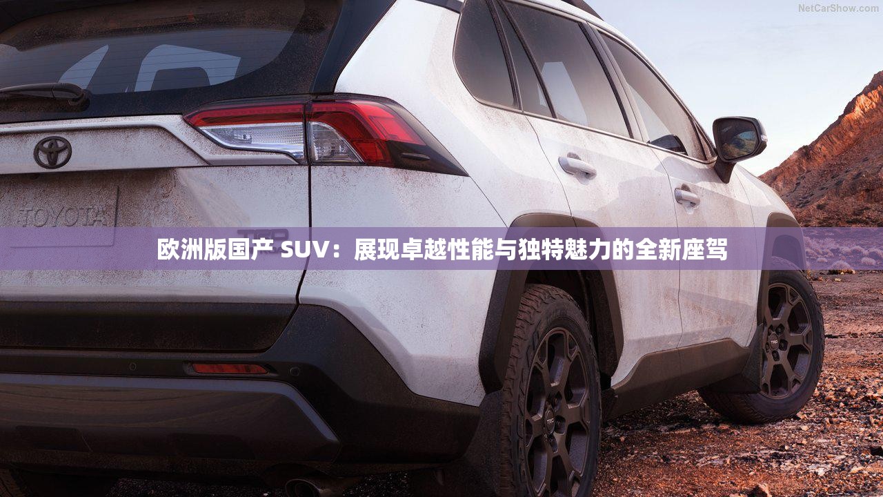 歐洲版國產(chǎn) SUV：展現(xiàn)卓越性能與獨特魅力的全新座駕