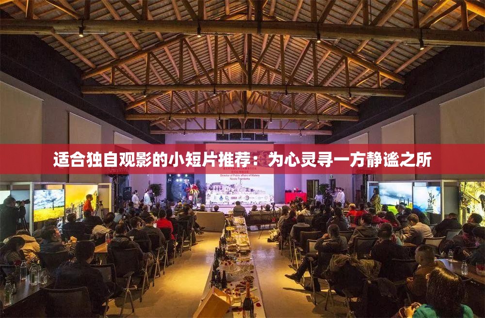 適合獨(dú)自觀影的小短片推薦：為心靈尋一方靜謐之所