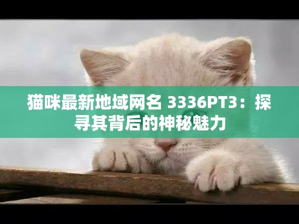 貓咪最新地域網(wǎng)名 3336PT3：探尋其背后的神秘魅力