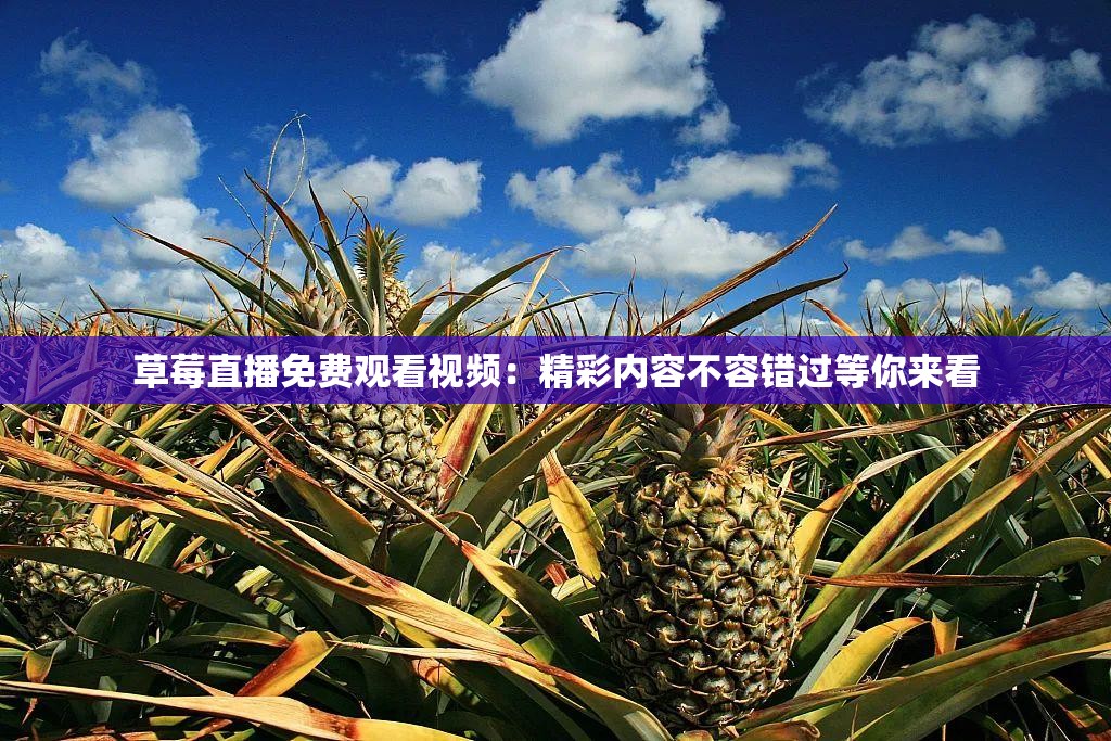 草莓直播免費(fèi)觀看視頻：精彩內(nèi)容不容錯(cuò)過等你來看