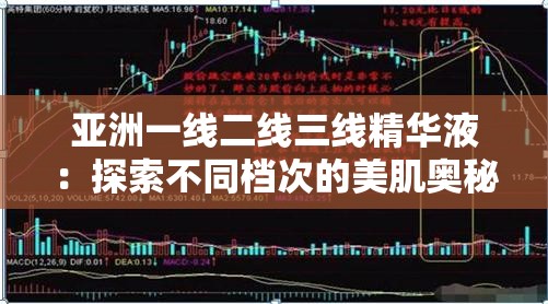 亞洲一線二線三線精華液：探索不同檔次的美肌奧秘