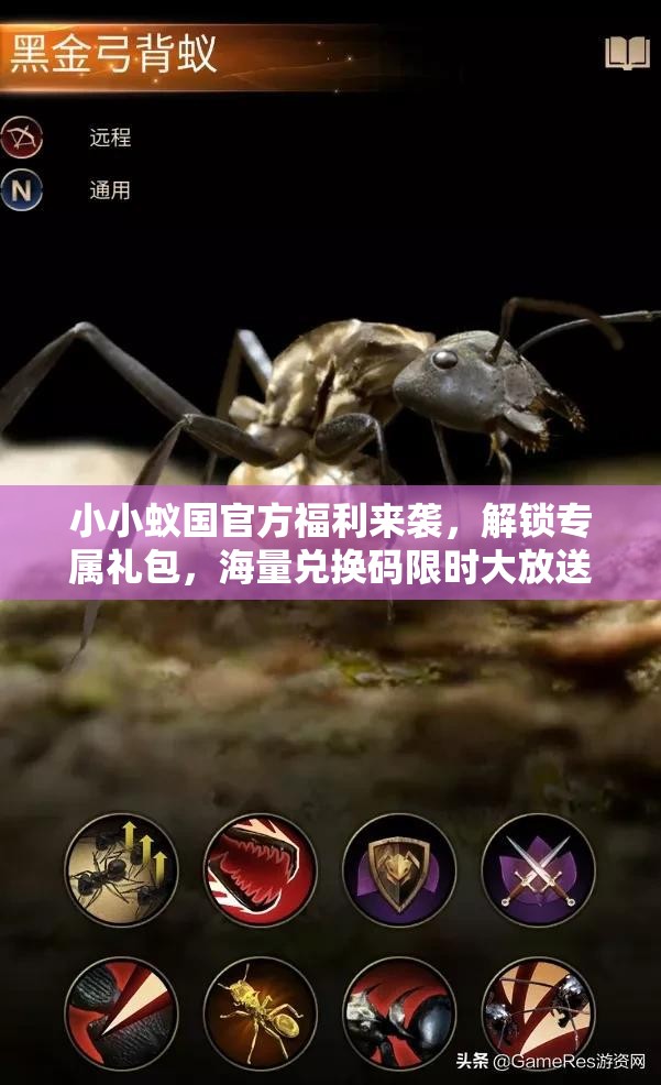 小小蟻國官方福利來襲，解鎖專屬禮包，海量兌換碼限時大放送！