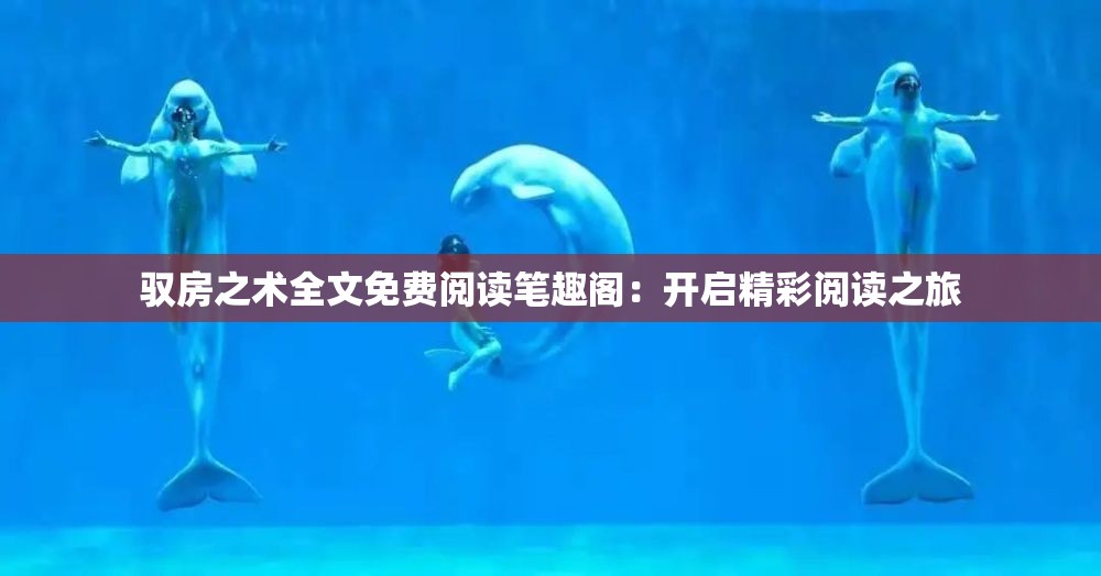 馭房之術(shù)全文免費(fèi)閱讀筆趣閣：開啟精彩閱讀之旅