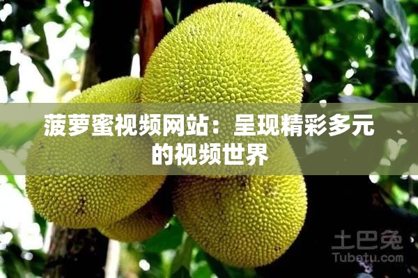 菠蘿蜜視頻網(wǎng)站：呈現(xiàn)精彩多元的視頻世界