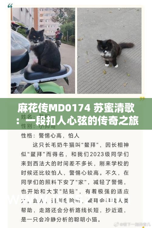 麻花傳MD0174 蘇蜜清歌：一段扣人心弦的傳奇之旅
