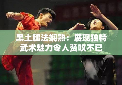 黑土腿法嫻熟：展現(xiàn)獨(dú)特武術(shù)魅力令人贊嘆不已