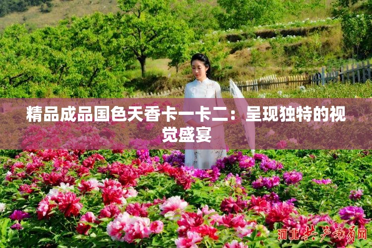 精品成品國(guó)色天香卡一卡二：呈現(xiàn)獨(dú)特的視覺(jué)盛宴