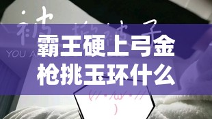 霸王硬上弓金槍挑玉環(huán)什么意思：探究其背后的含義與隱喻