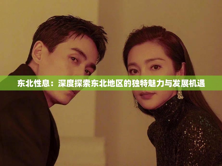 東北性息：深度探索東北地區(qū)的獨特魅力與發(fā)展機遇