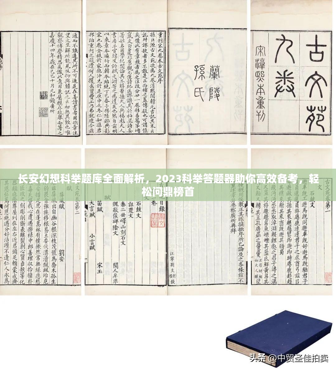 長(zhǎng)安幻想科舉題庫(kù)全面解析，2023科舉答題器助你高效備考，輕松問(wèn)鼎榜首
