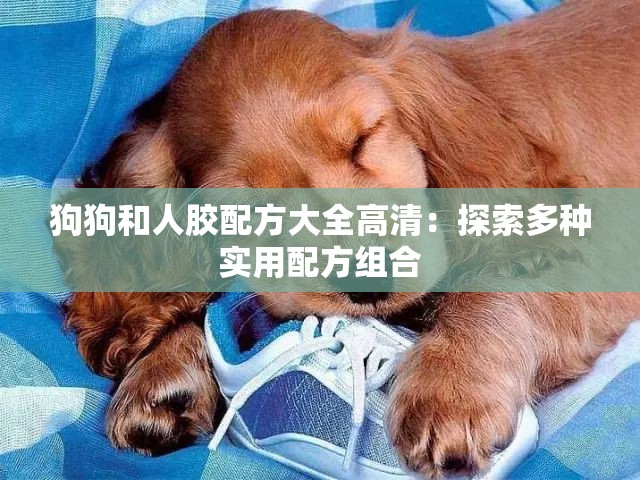 狗狗和人膠配方大全高清：探索多種實(shí)用配方組合